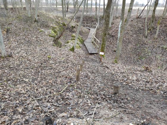 „Barsuko ola“ geologinį pažintinį taką