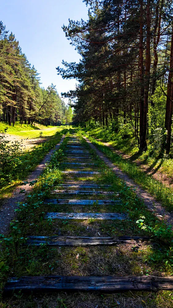 Latvijas Mākslinieku Savienības RADOŠAIS KVARTĀLS kombināts MĀKSLA