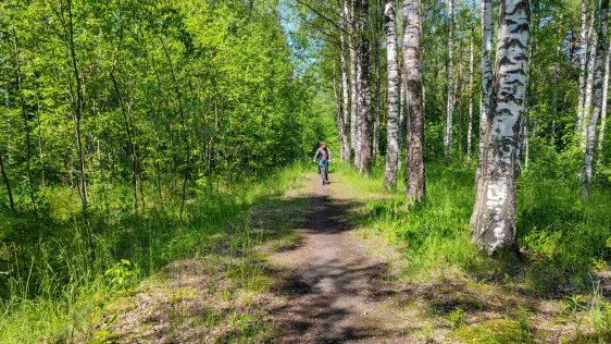 Latvijas Mākslinieku Savienības RADOŠAIS KVARTĀLS kombināts MĀKSLA