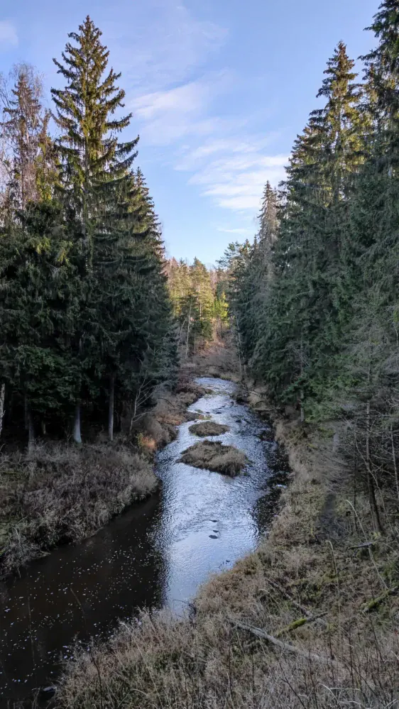 Viesatas upesloku taka