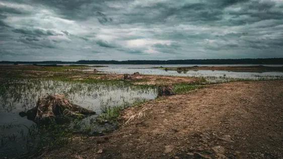 Svētā Meinarda sala