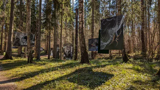 Mākslas taka Valguma mežā