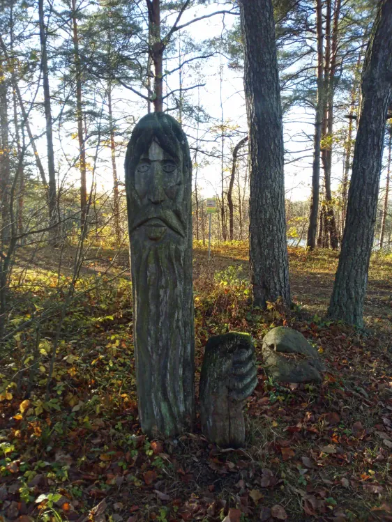 Rozalimas meža mācību taka (Rozalimo pažintinis takas)