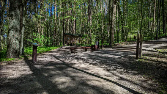 Pastaigu taka koku galotnēs (Medžių lajų takas)