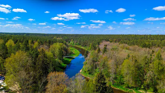 Pastaigu taka koku galotnēs (Medžių lajų takas)