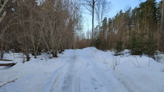 Laiksāres palieņu mežu mācību taka