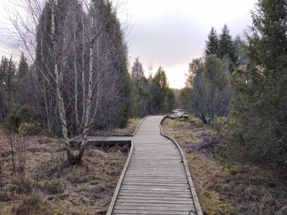 Šauklių riedulyno pažintinis takas