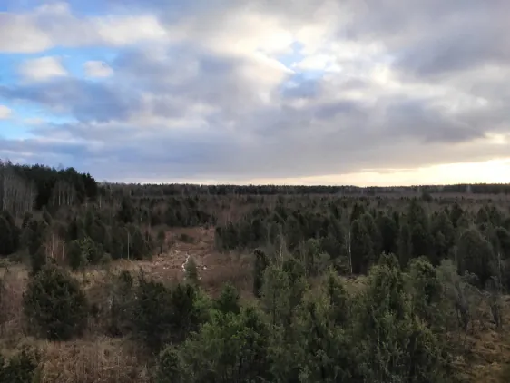 Šauklių riedulyno pažintinis takas