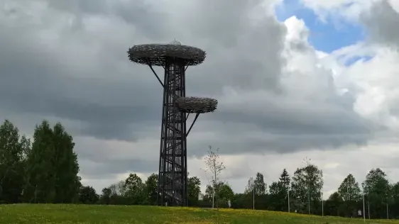 Reuges (Rõuge) skatu tornis "Pesapuu"