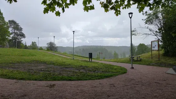 Reuges (Rõuge) skatu tornis "Pesapuu"