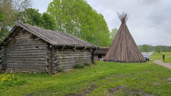 Reuges (Rõuge) skatu tornis "Pesapuu"