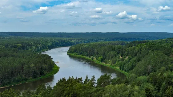 Birštonas skatu tornis