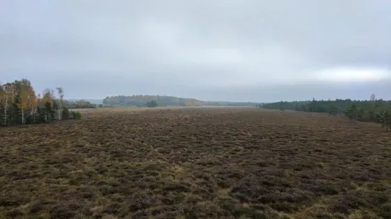 Mūsas tīreļa taka (Mūšos Tyrelio pažintinis takas)