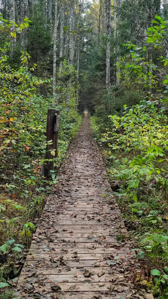 Mūsas tīreļa taka (Mūšos Tyrelio pažintinis takas)