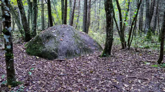 Mūsas tīreļa taka (Mūšos Tyrelio pažintinis takas)