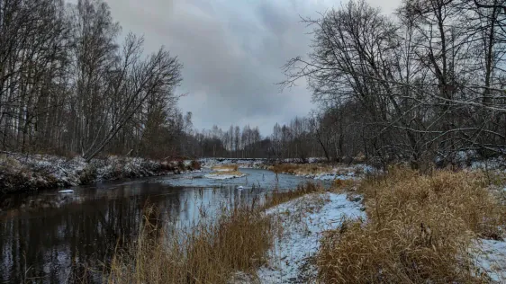 Dullā Daukas birzs un Meņģeļu skatu tornis